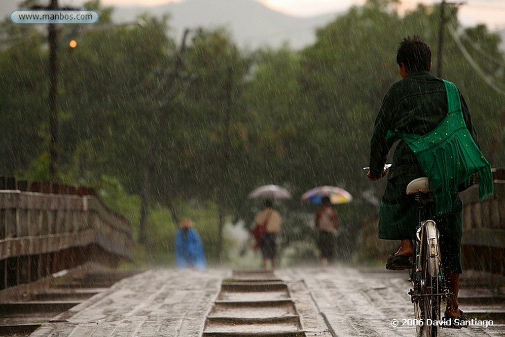 Lago Inle
Monjes Recogiendo su sustento en Forma de Ofrenda en lluvia en Nyaungshwe Lago Inle Myanmar
Lago Inle