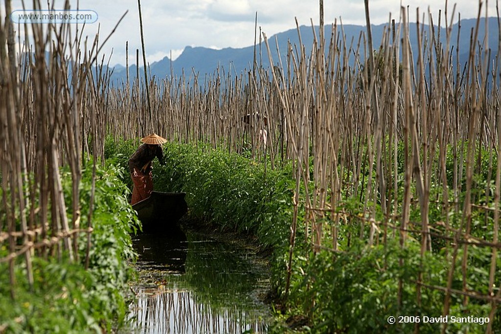 Lago Inle
Lago Inle Myanmar
Lago Inle