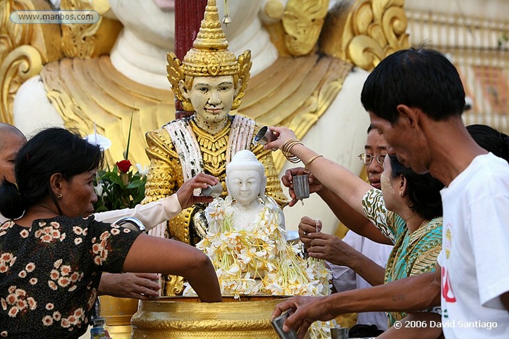 Yangon
Shwedagon en yangon Myanmar
Yangon