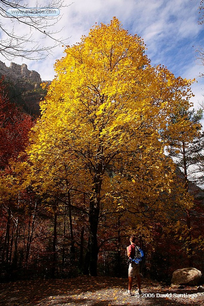 Ordesa
Avellano
Huesca