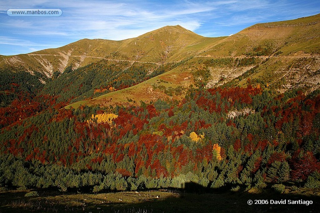 Ordesa
Bosque en Plana Canal
Huesca