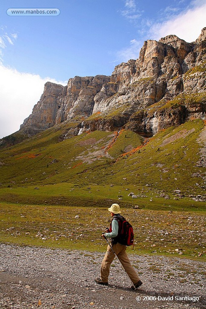 Ordesa
Clitocybe
Huesca