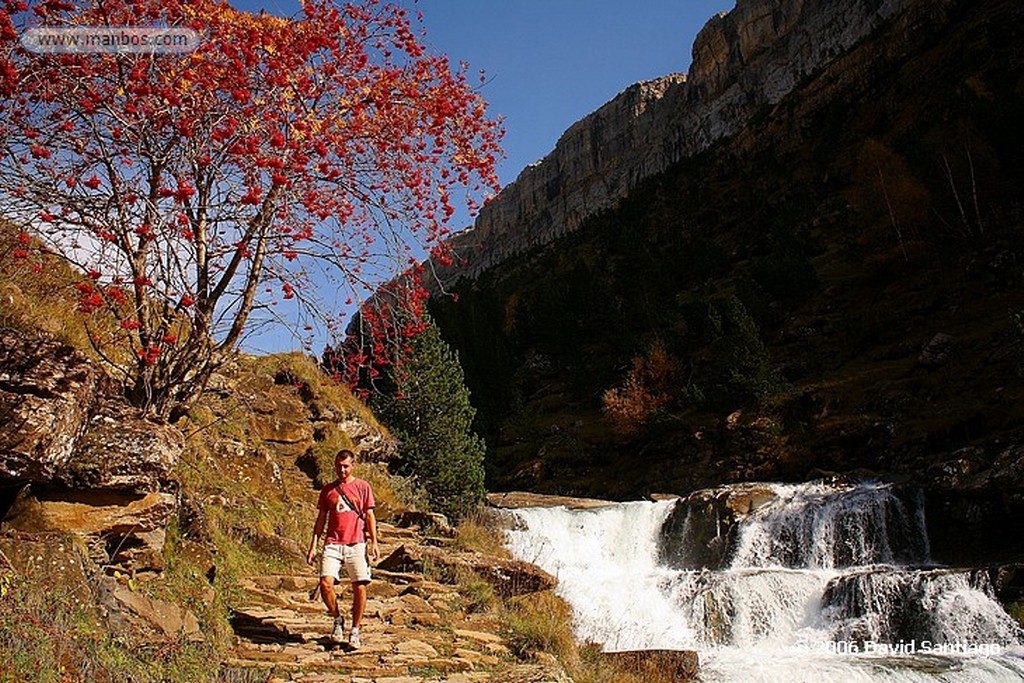 Ordesa
Helecho
Huesca