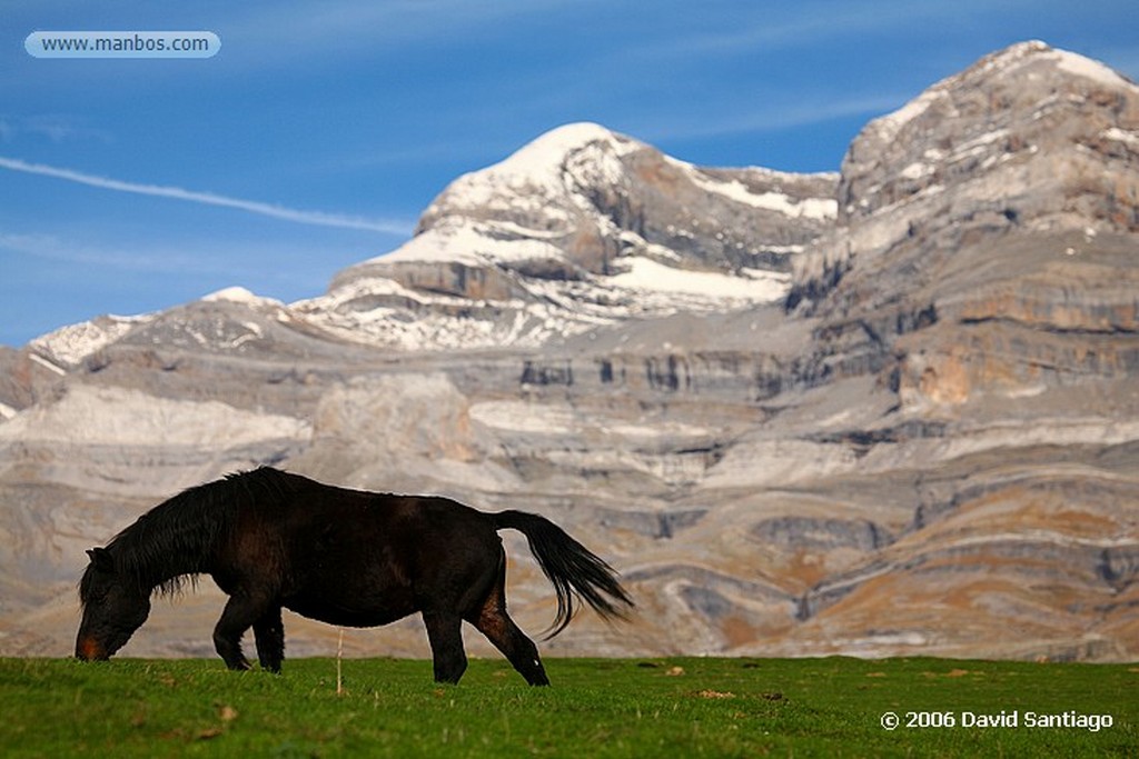 Ordesa
Monte Perdido
Huesca