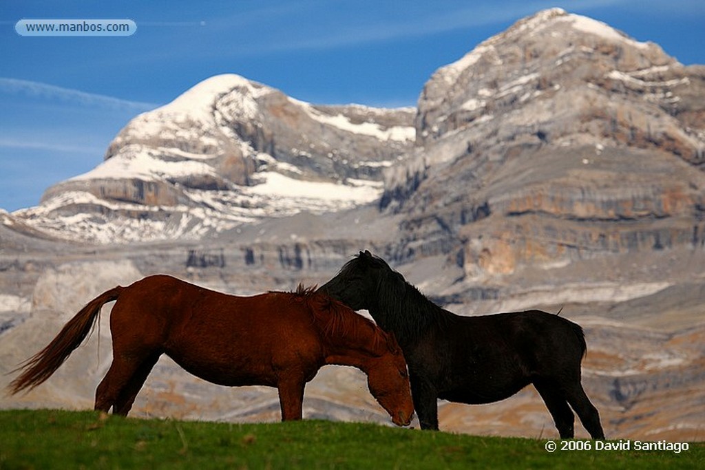 Ordesa
Monte Perdido
Huesca