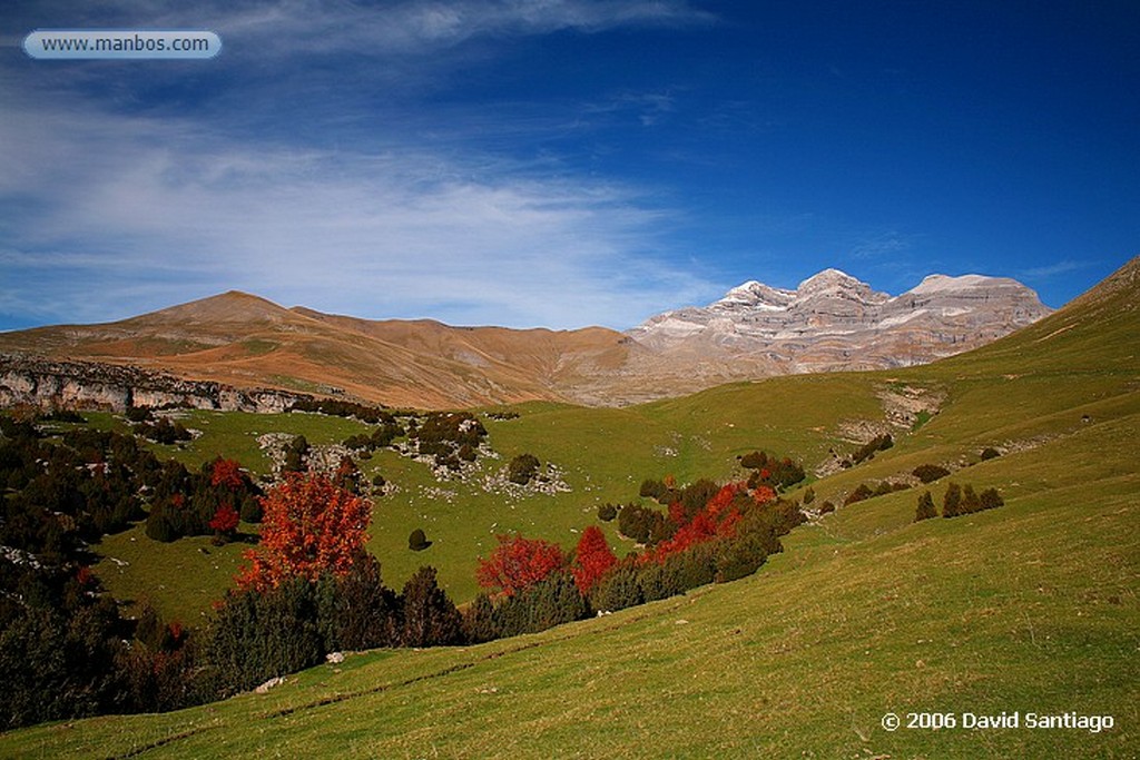 Ordesa
Pradera en Ordesa
Huesca