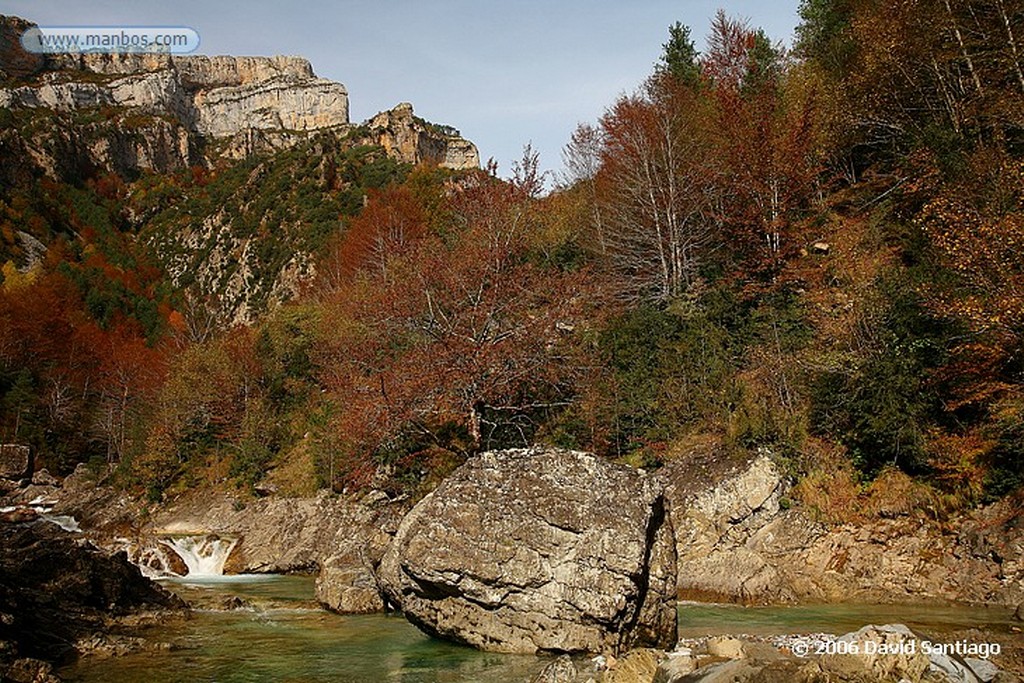 Ordesa
Serbal de Los Cazadores
Huesca