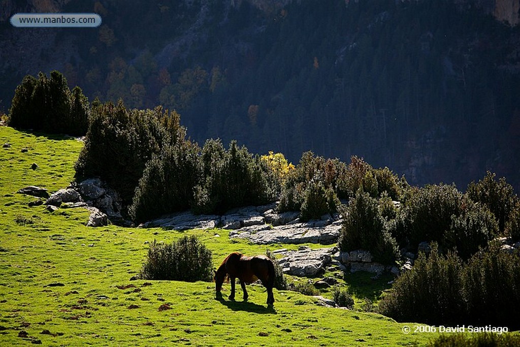 Ordesa
Valle de Añisclo y monte Perdido de Fondo
Huesca