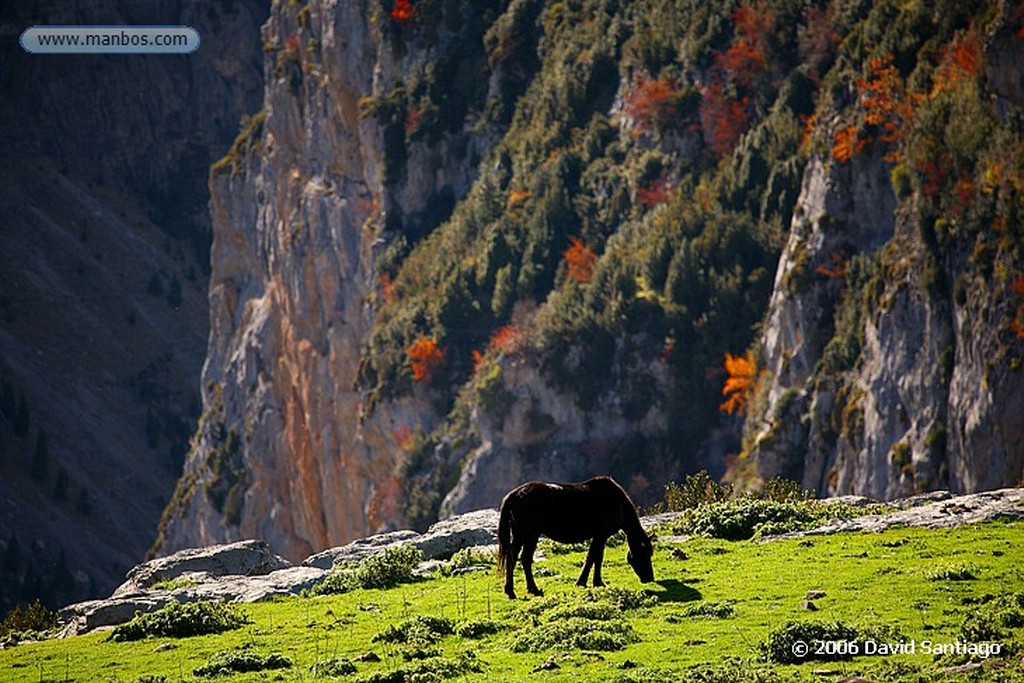 Ordesa
Valle de Ordesa
Huesca