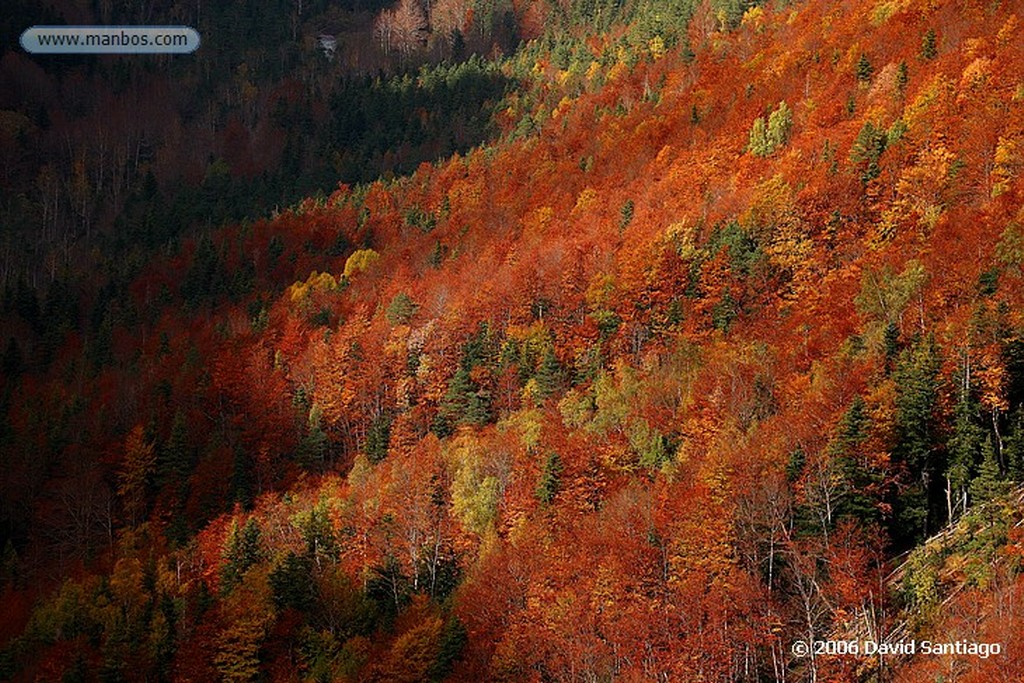 Ordesa
Valle de Añisclo
Huesca