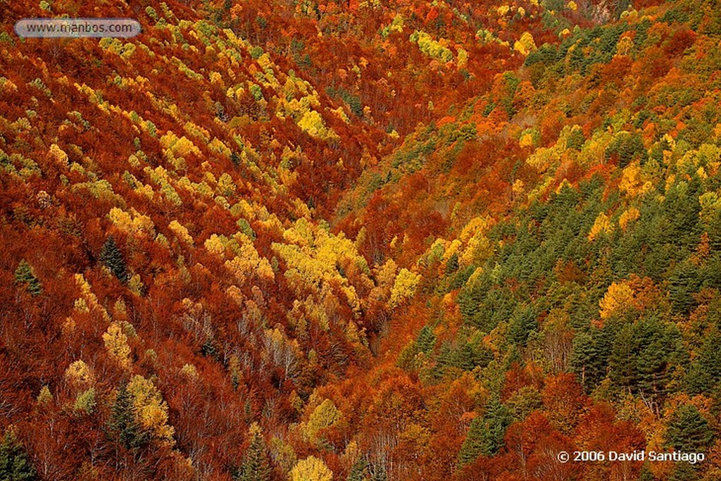 Ordesa
Valle de Añisclo y monte Perdido de Fondo
Huesca