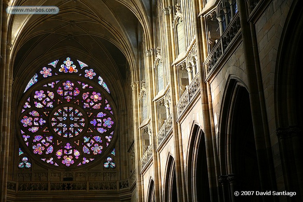 Praga
Catedral de San Vito
Praga