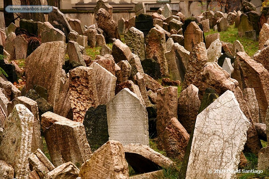 Praga
Cementerio de Vysehrad
Praga