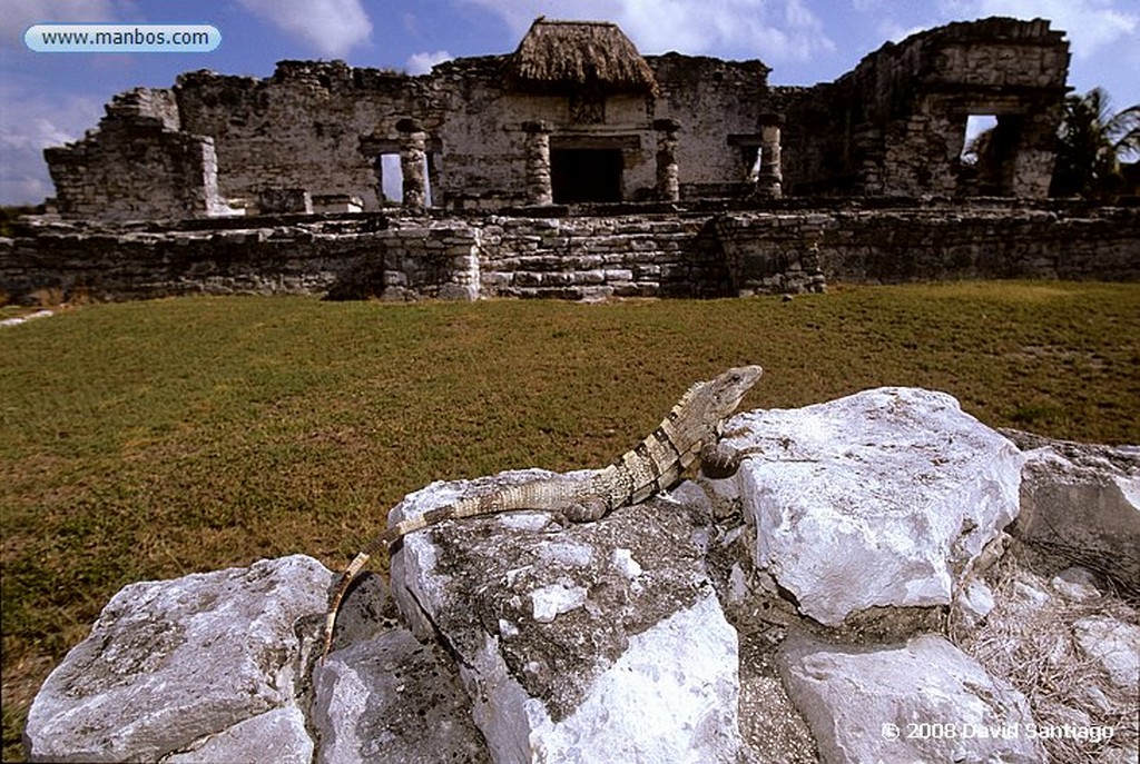 Sayil
Mirador de Sayil - Yucatán - México
Yucatan