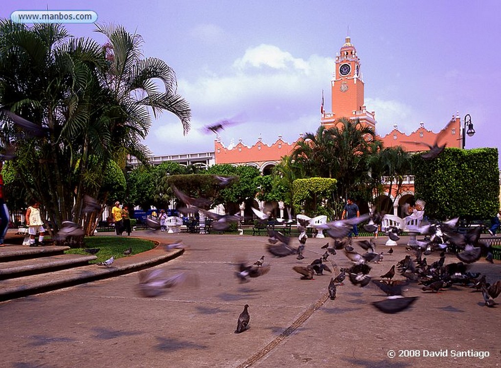 Cozumel
Plaza Juárez de San Miguel - Isla de Cozumel - México
Quintana Roo