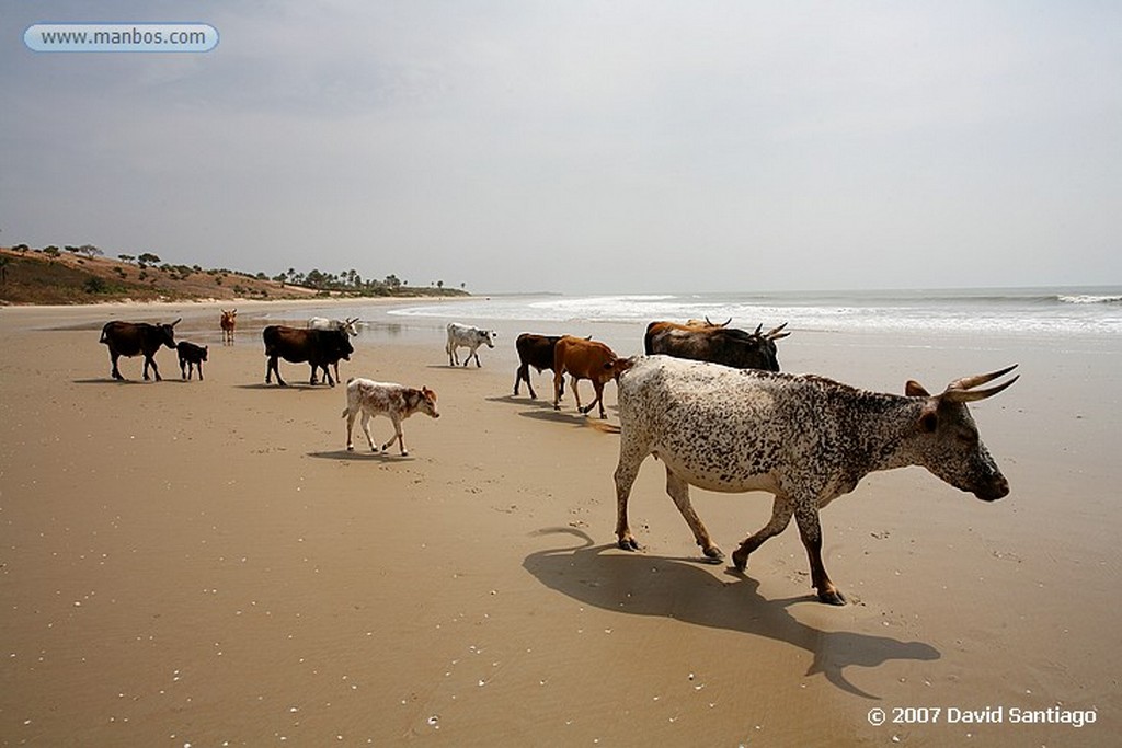 Senegal
Senegal