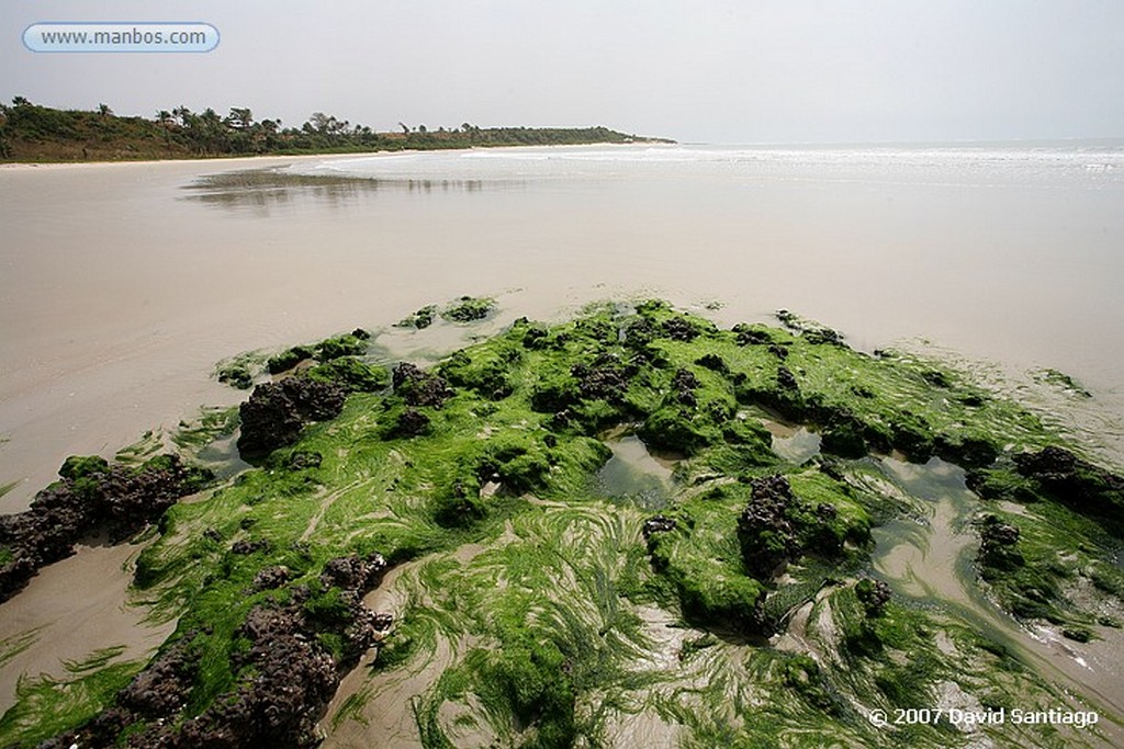 Senegal
Senegal