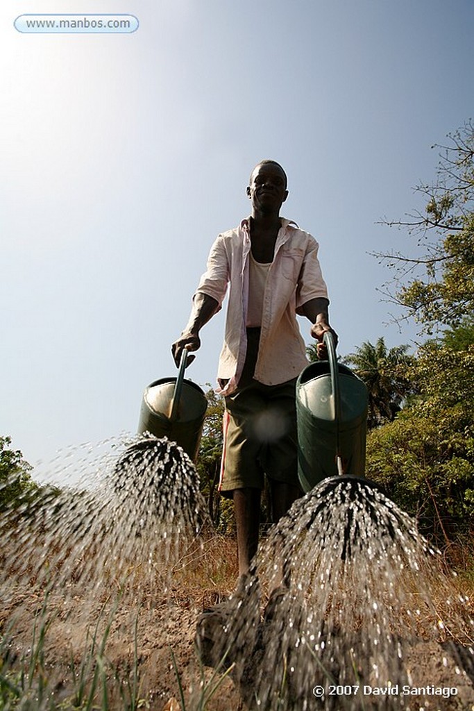 Senegal
Senegal