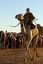 Tamanrasset
Carrera de Camellos en el Festival de Turismo Sahariano de Tamanrasset - Argelia
Argelia