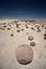 San Juan
Parque Nacional de Ischigualasto San Juan
Cuyo