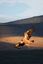 Parque Nacional de Monfrague
Buitre leonado
Caceres