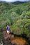 Parque Nacional Canaima
Subida al Roraima
Bolivar