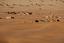 Erg Chigaga
Erg Chigaga
Marruecos