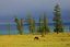 Lago Khovsgol
Lago Khovsgol
Mongolia