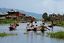 Lago Inle
Lago Inle Myanmar
Lago Inle