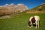 Ordesa
Monte Perdido
Huesca