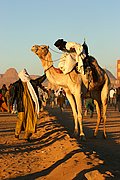 Tamanrasset, Tamanrasset, Argelia