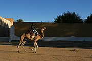 Tamanrasset, Tamanrasset, Argelia