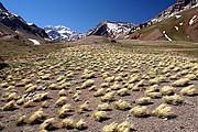 Mendoza, Mendoza, Argentina