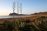 Ensenada de los Genoveses, Cabo de Gata, España