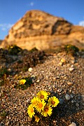 Cabo de Gata, Cabo de Gata, España