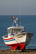 Objetivo 100 to 400
BARCAS DE PESCADORES EN LA ALMADRABA DE MONTELEVA
Cabo de Gata
CABO DE GATA
Foto: 13219