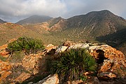 Cabo de Gata, Cabo de Gata, España