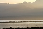 Salinas del Cabo de Gata, Cabo de Gata, España