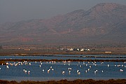 Salinas del Cabo de Gata, Cabo de Gata, España