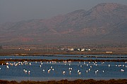 Salinas del Cabo de Gata, Cabo de Gata, España