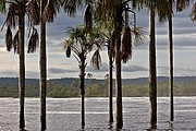 Laguna de Canaima, Parque Nacional Canaima, Venezuela