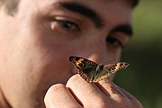 Objetivo EF 100 Macro
Mariposa en Tepui Roraima
Parque Nacional Canaima
PARQUE NACIONAL CANAIMA
Foto: 14513