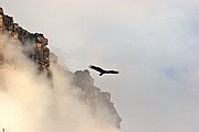 Auyan Tepuy, Parque Nacional Canaima, Venezuela