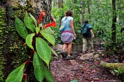 Tepuy Roraima, Parque Nacional Canaima, Venezuela