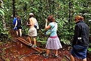 Salto del Angel, Parque Nacional Canaima, Venezuela