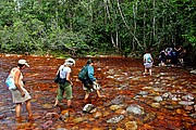 Salto del Angel, Parque Nacional Canaima, Venezuela