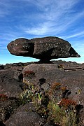 Tepuy Roraima, Parque Nacional Canaima, Venezuela