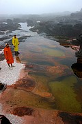 Tepuy Roraima, Parque Nacional Canaima, Venezuela