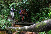 Tepuy Roraima, Parque Nacional Canaima, Venezuela