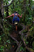 Tepuy Roraima, Parque Nacional Canaima, Venezuela